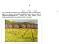 craiglawsonstudio.com