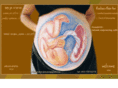 homebirthisrael.com