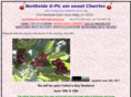 northsidecherries.com