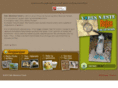odinadventure.com