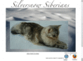 silversnowsiberians.com