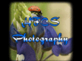 hfcsphotography.com