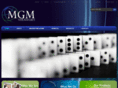 mgmstrategies.com