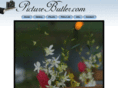 picturebutler.com