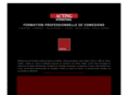 acting-international.com