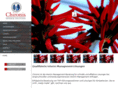 chironis.com