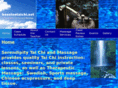 houstontaichi.net