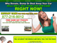 junkcarny.com