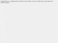 predictivedecision.com