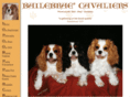 bailebrae.com