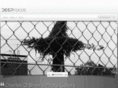 environ-mental.com