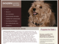 goldendoodlekennels.com