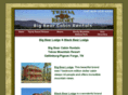 pigeonforgebigcabinrentals.com