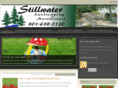 saltlakelandscaping.net
