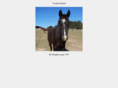 trusted-steed.com