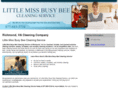cesterhousecleaning.com