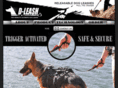 dleash.com
