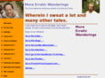 more-erratic-wanderings.com