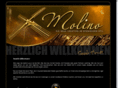 mymolino.de