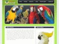 aboutparrots.org