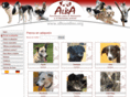 adoptaunperro.org