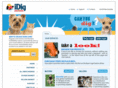 idigauctions.com