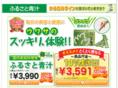 p-synergy.jp