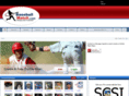 baseballmatch.com