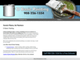 dbanicpainting.com