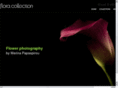 floraexplosion.com