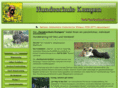 hundeschule-kempen.net
