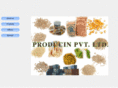 producin.com