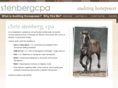 stenbergcpa.biz