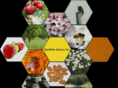 sunshineapiary.com
