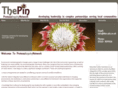 the-pin.co.uk