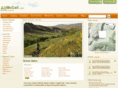 allboiseidaho.com