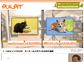pulpitstudio.com