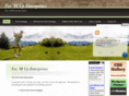 teemupgolf.com