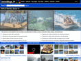 travelbugstours.com