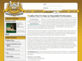 1stclassbreeders.com