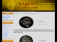 bigcatgamer.com