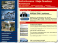 taastrup-kulturcenter.dk
