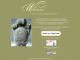 carvingworkshop.com