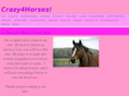 crazy4horses.com