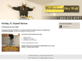 drywalldonaldsonville.com