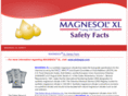 magnesolxlsafety.com