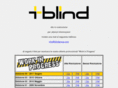 blindgroup.com