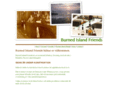 burnedisland.com