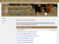 dodgecitydistrictumc.org