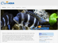 fishfx.net